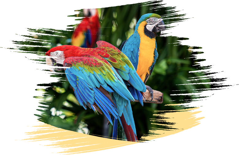 Wildlife