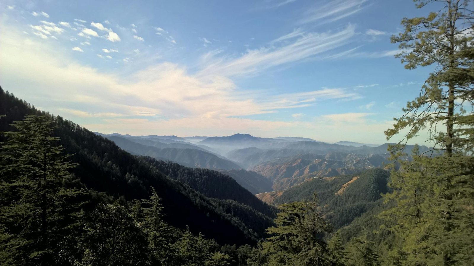 Shimla Water Catchment Wildlife Sanctuary