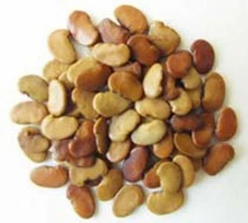 Seed of Dalbergia sissoo Roxb. ex DC.