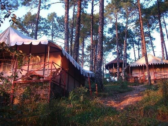 Camping Site Potters Hill